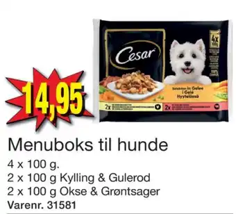 Harald Nyborg Cesar hundefoder tilbud