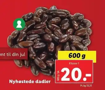 Lidl Nyhøstede dadler tilbud