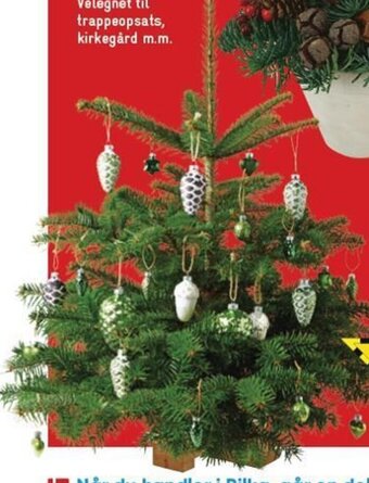 Bilka Juletræ På Træfod tilbud
