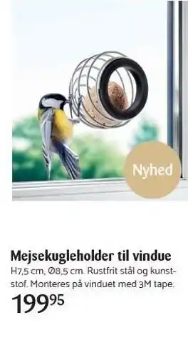 Kop & Kande Eva solo mejsekugleholder til vindue tilbud