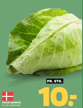 Netto Ukendt spidskål tilbud