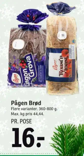 Lingongrova rugbrød-skiver