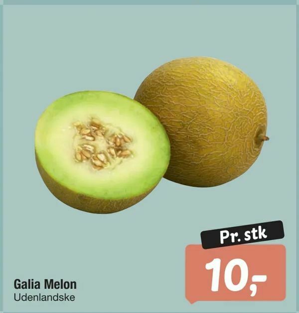 Galia Melon tilbud hos Fakta Tyskland