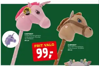 Ukendt kæphest
