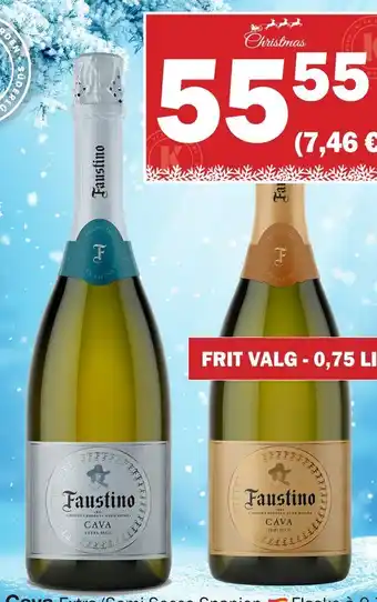 Faustino cava