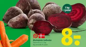 Økologiske rødbeder