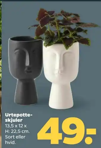 Netto Urtepotte skjuler tilbud