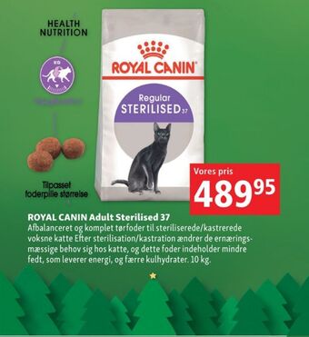 Maxi Zoo Royal canin kattefoder tilbud