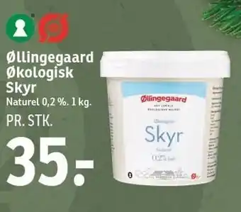 Øllingegaard øko skyr
