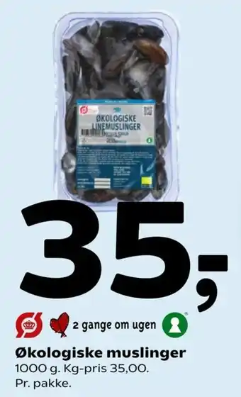 Coop 365 Økologiske Muslinger 1000g tilbud