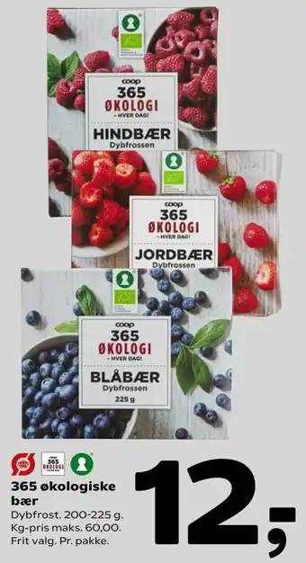 Coop 365 365 Økologiske Bær 200-225g tilbud