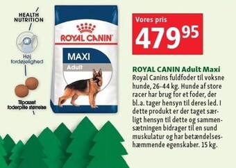 Maxi Zoo Royal canin adult maxi tilbud
