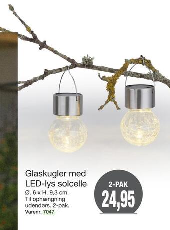 Harald Nyborg Glaskugler med led-lys solcelle tilbud