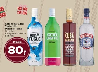 Dagli'Brugsen Små fugle shots tilbud