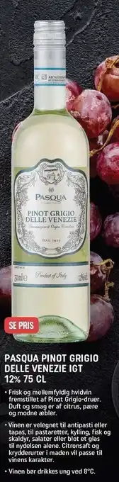REMA 1000 Pasqua pinot grigro tilbud