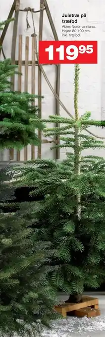 Bauhaus Juletræ på træfod tilbud