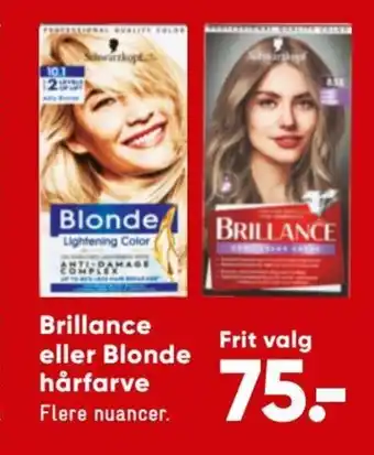 Bilka Brillance eller Blonde Hårfarve tilbud