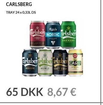 Nielsen's Discount Carlsberg tilbud
