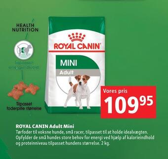 Maxi Zoo Royal canin adult mini tilbud