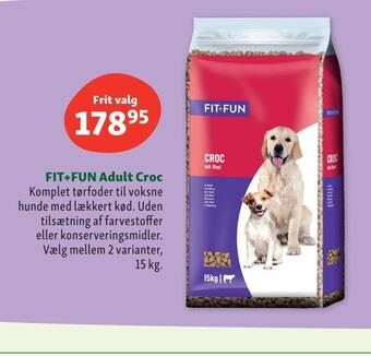 Maxi Zoo Fit+fun adult croc tilbud