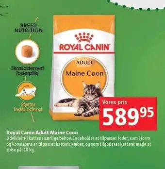 Maxi Zoo Royal canin adult maine coon 10 kg tilbud