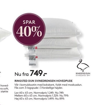 SengeSpecialisten Ringsted dun svinedrengen hovedpude tilbud