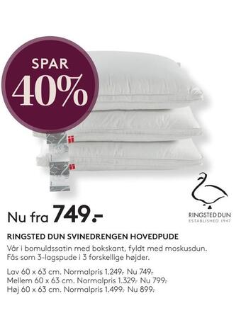 SengeSpecialisten Ringsted dun svinedrengen hovedpude tilbud