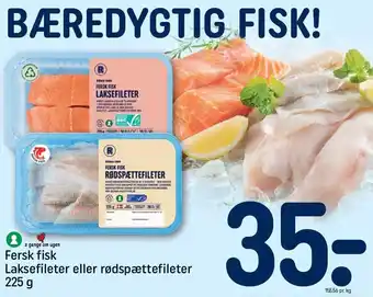REMA 1000 Fersk fisk laksefileter el. rødspættefileter tilbud