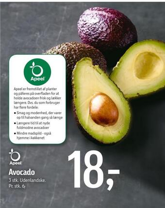 Føtex Avocado tilbud