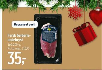Fersk berberieandebryst