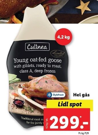 Lidl Hel gås tilbud