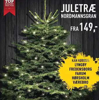 Juletræ