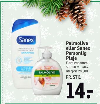 Sanex shampoo