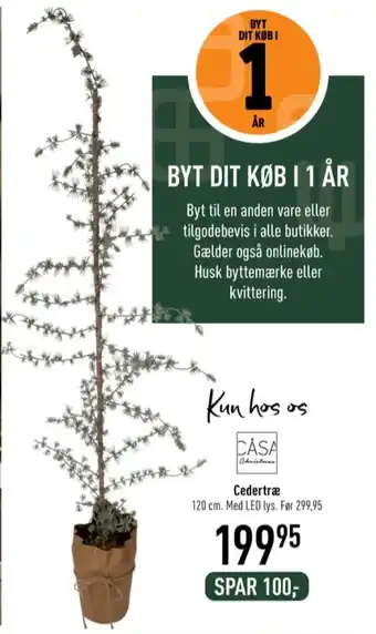 Casa living kunstige planter