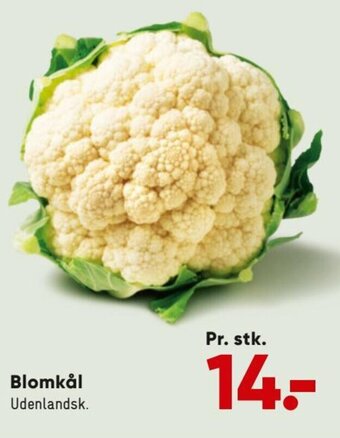 Bilka Blomkål tilbud