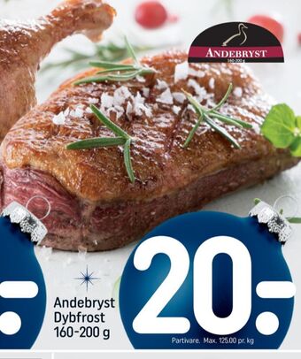 Dansk and andebryst