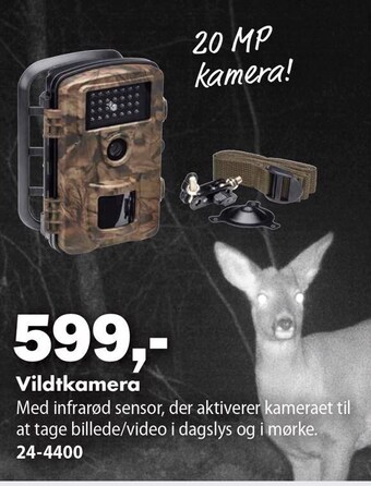 Vildtkamera