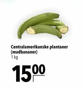 Centralamerikanske plantaner (madbananer)