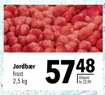 Citti Jordbær tilbud