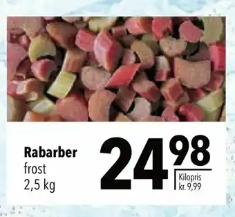 Rabarber
