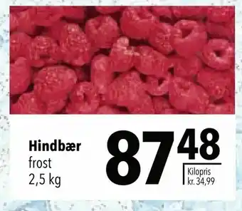 Citti Hindbær tilbud
