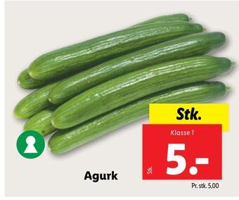 Lidl Agurk tilbud