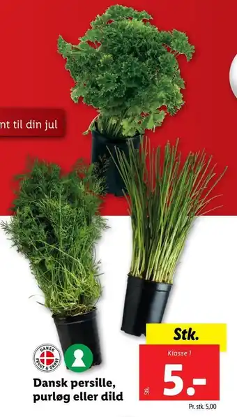Lidl Dansk persille, purløg eller dild tilbud