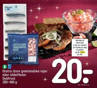 REMA 1000 Ekstra store grønlandske rejer eller sildefileter dybfrost tilbud