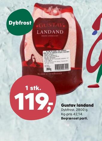 Gustav landand