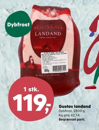 Gustav landand