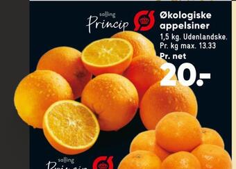 Bilka Økologiske appelsiner tilbud