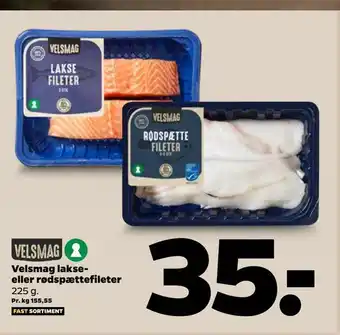 Netto Velsmag lakse eller rødspættefileter tilbud