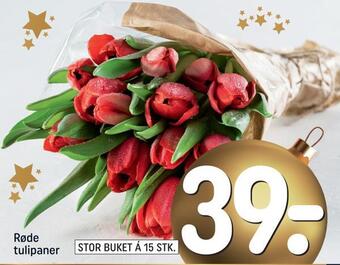 REMA 1000 Røde tulipaner tilbud
