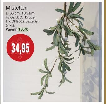 Mistelten